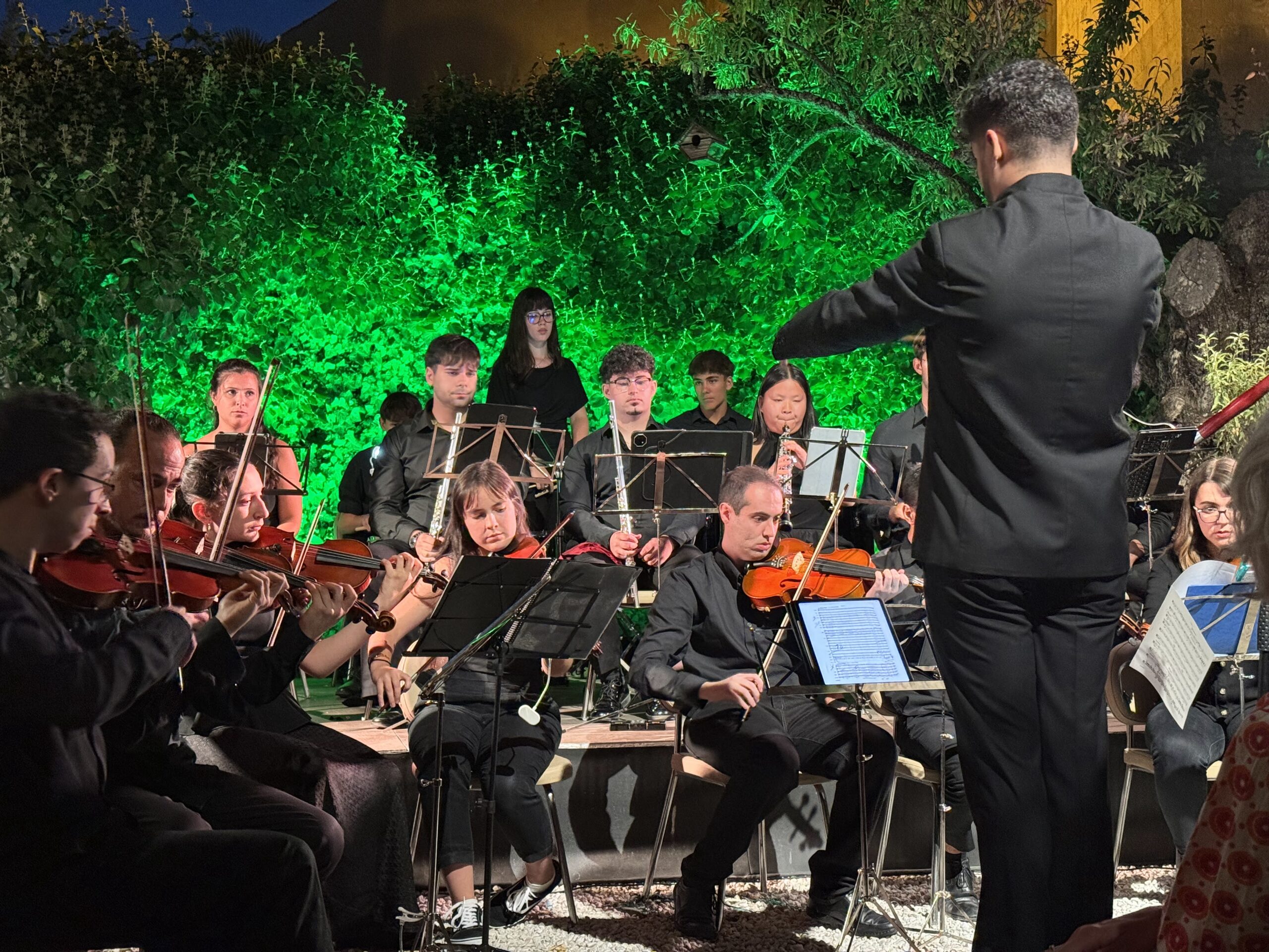 La Joven Orquesta de Segovia interpreta Una noche de película en el Palacio de Quintanar